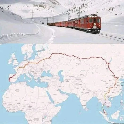 2024 11 25l